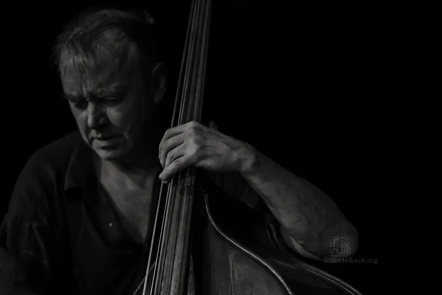 John Edwards, Kontrabass, Upright Bass - Photo: Frank Schindelbeck Jazzfotografie