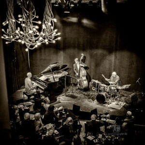 Frankfurt Jazz Trio (Cremer, Polziehn, Gjakonovski) - Foto by Frank Schindelbeck Jazzfotografie