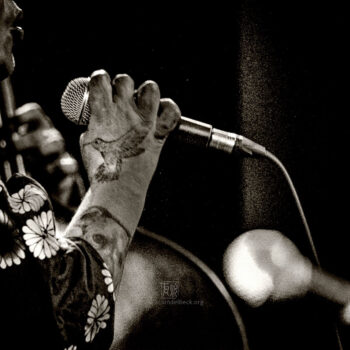 Jaimie Branch - Photo: Schindelbeck