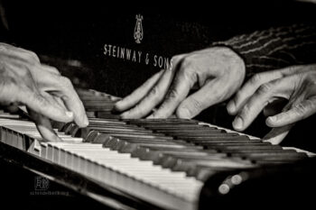 Alexander Hawkins Trio bei art.ist in Wiesbaden - Photo: Frank Schindelbeck Jazzfotografie