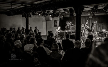 Alexander Hawkins Trio bei art.ist in Wiesbaden - Photo: Frank Schindelbeck Jazzfotografie