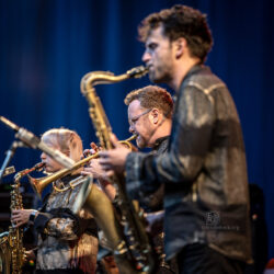 Shake Stew in Frankfurt - Foto: Frank Schindelbeck