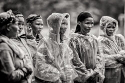 Moers Festival 2024 - Photo: Frank Schindelbeck Jazzfotografie