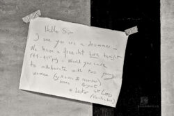 Moers Festival 2024 - Photo: Frank Schindelbeck Jazzfotografie