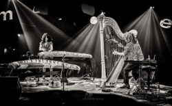 Moers Festival 2024 - Photo: Frank Schindelbeck Jazzfotografie