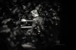 New Conference Call - Gebhard Ullmann, Joe Fonda, Uwe Oberg, Dieter Ulrich - Konzert bei art.ist Wiesbaden 251119 - Foto: Frank Schindelbeck Jazzfotografie