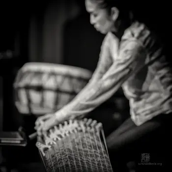 Naoko Kikuchi, Taiko Saito, Niko Meinhold, Koto Koko Trio - Fotografie: Frank Schindelbeck Jazzfotografie
