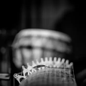 Naoko Kikuchi, Taiko Saito, Niko Meinhold, Koto Koko Trio - Fotografie: Frank Schindelbeck Jazzfotografie