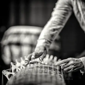 Naoko Kikuchi, Taiko Saito, Niko Meinhold, Koto Koko Trio - Fotografie: Frank Schindelbeck Jazzfotografie